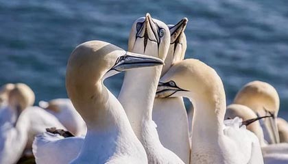 leyu.com-中国队蛙泳调整不够理想，中国蛙泳冠军是谁