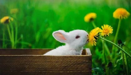 leyu.com-中国队蛙泳调整不够理想，中国蛙泳冠军是谁