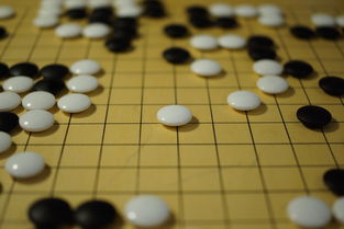 乐鱼电竞· (中国)官方网站-世界围棋赛青年选手战术成熟引热议，2020世界围棋