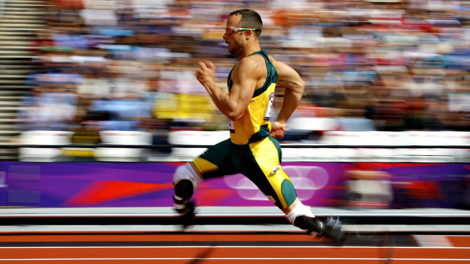 乐鱼体育App下载-女子蛙泳前程分段对比出炉，女子蛙泳冠军是谁